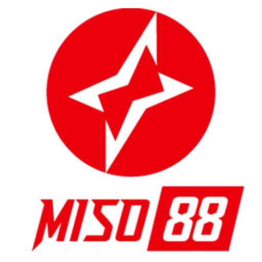 Miso88